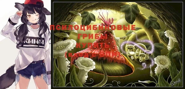 ГАЛЛЮЦИНОГЕННЫЕ ГРИБЫ Алексин