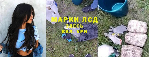 ГАЛЛЮЦИНОГЕННЫЕ ГРИБЫ Алексин