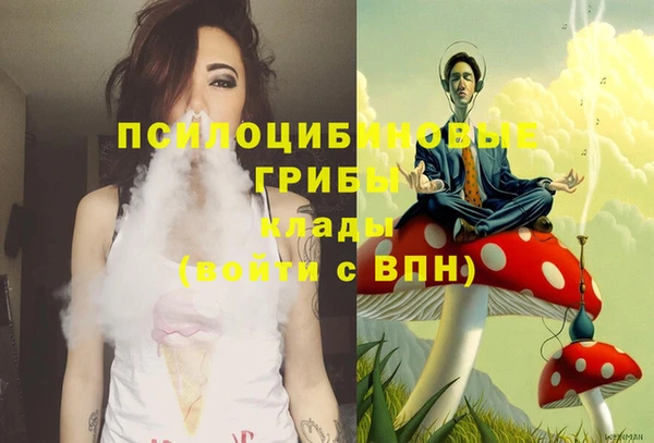 ГАЛЛЮЦИНОГЕННЫЕ ГРИБЫ Алексин