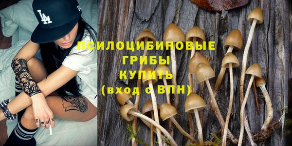 ГАЛЛЮЦИНОГЕННЫЕ ГРИБЫ Алексин